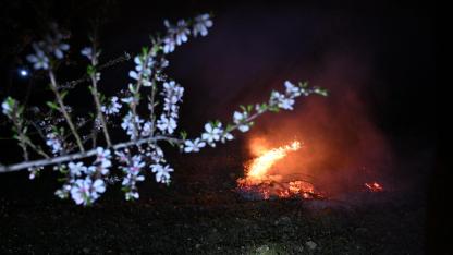 MANİSA DEMİRCİ’DE ZİRAİ DON NÖBETİ