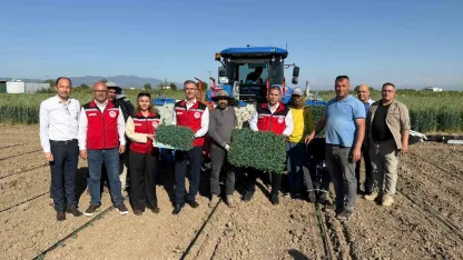 Manisa’da 131 bin dekarlık alanda domates mesaisi