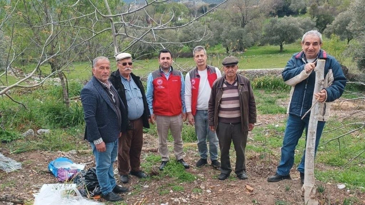 Menteşe’de çiftçiye uygulamalı eğitim