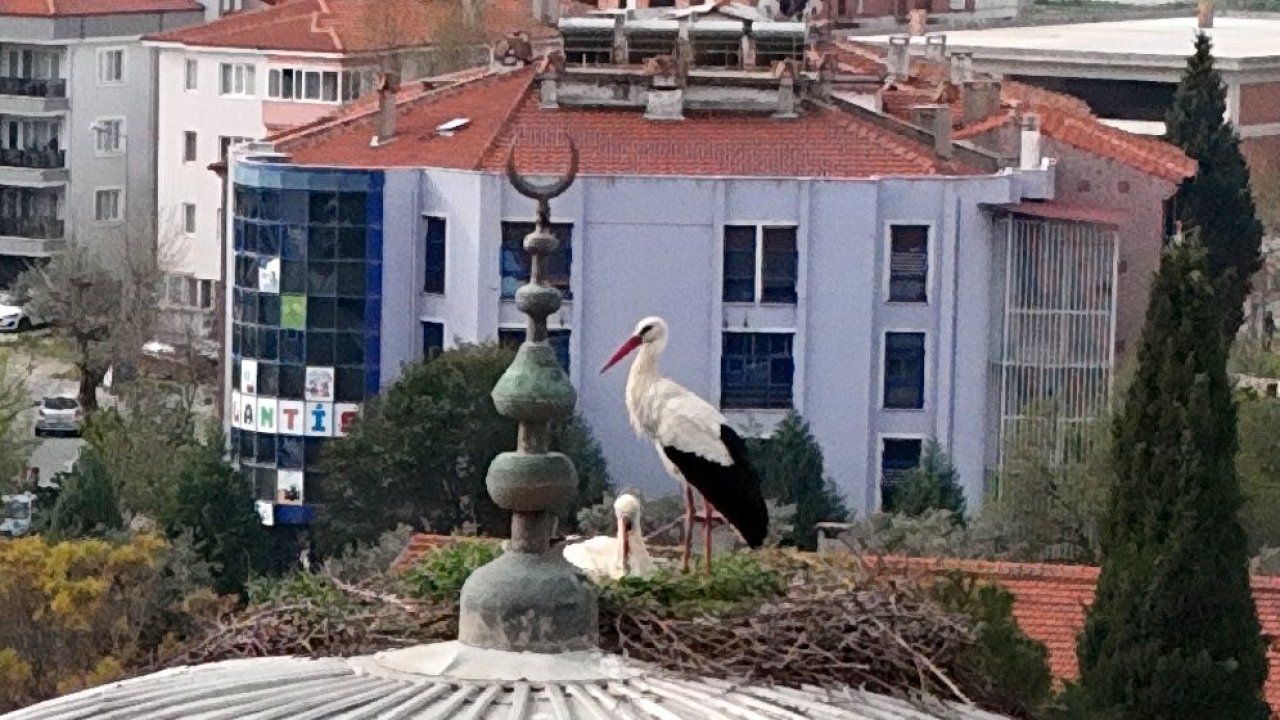 Menteşe’nin sadık misafirleri geldi, 30 yıllık gelenek bozulmadı
