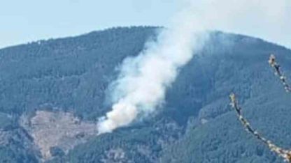 Nazilli’de orman yangını