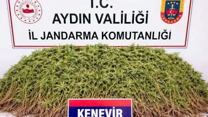 Nazilli’de uyuşturucu operasyonu