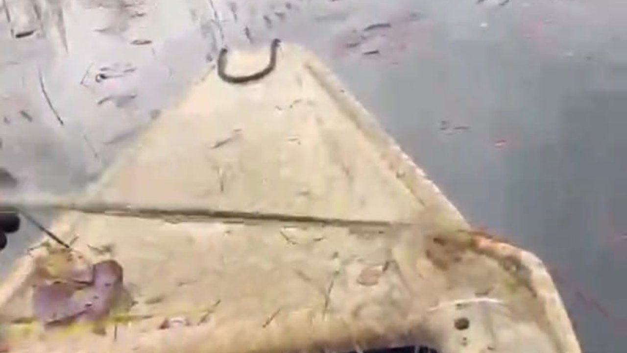 ‘Nilüfer Cenneti’nde kaçak avcılığa ‘dur’ denildi