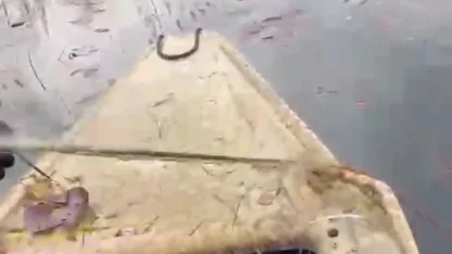 ‘Nilüfer Cenneti’nde kaçak avcılığa ‘dur’ denildi