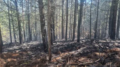 Orman yangını kontrol altına alındı