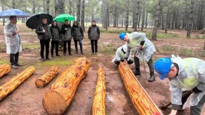 Ormanda Zirve Savaşı: En Güçlü Ekipler Kıyasıya Yarışıyor