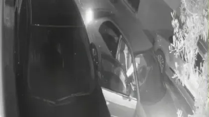 Otomobilden yol kenarına atılan kadının yardım çığlıkları