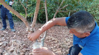 Sakız’dan farklı ürünler üretilmeye başlandı