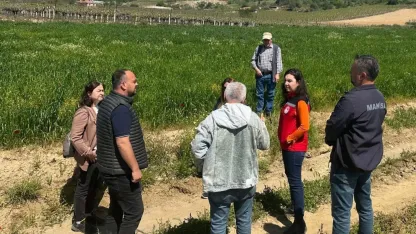 Sarıgöl’de incir hamlesi