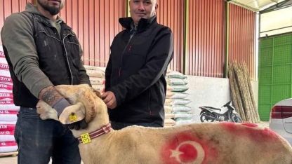 Sarıgöl’de kurbanlık pazarı hareketlendi