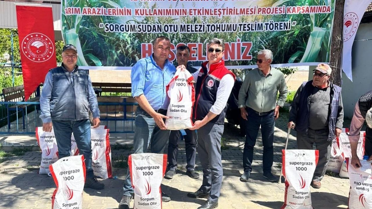 Silajlık mısıra alternatif olan sorgum otu üreticilere dağıtıldı