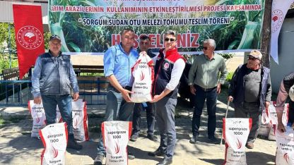 Silajlık mısıra alternatif olan sorgum otu üreticilere dağıtıldı