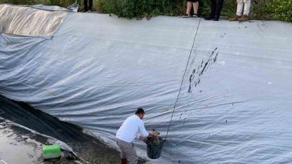 Sulama havuzuna düşen 5 yavru köpeği belediye ekipleri kurtardı