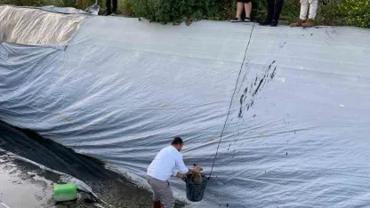 Sulama havuzuna düşen 5 yavru köpeği belediye ekipleri kurtardı