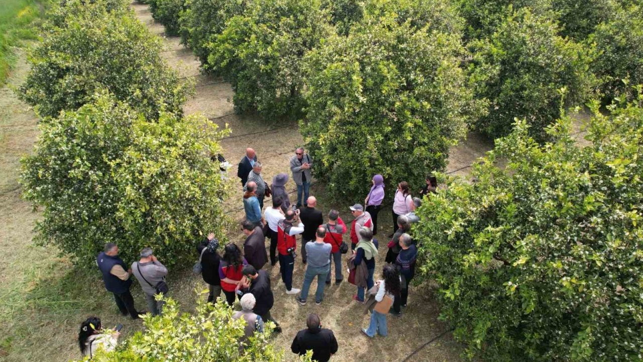 Tarımda yeni dönem başlıyor