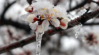 TÜRKİYE’DE HAVA ALARMI: 42 İL İÇİN SARI KODLU UYARI