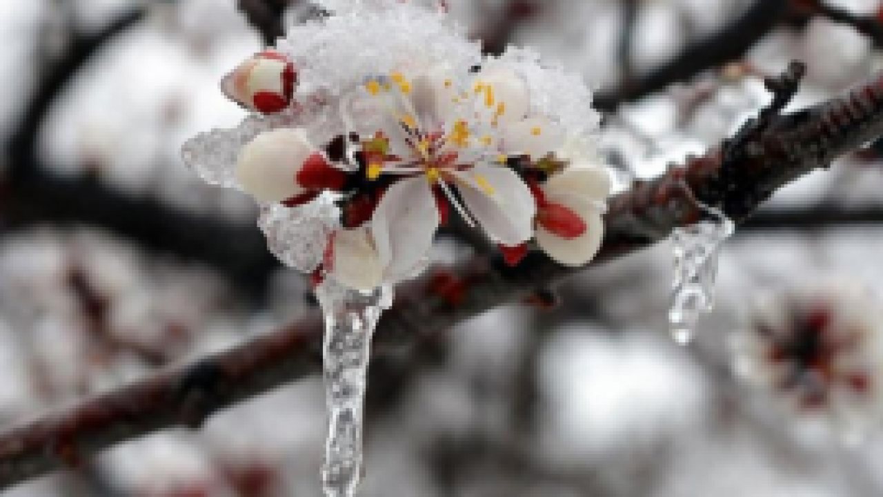 TÜRKİYE’DE HAVA ALARMI: 42 İL İÇİN SARI KODLU UYARI