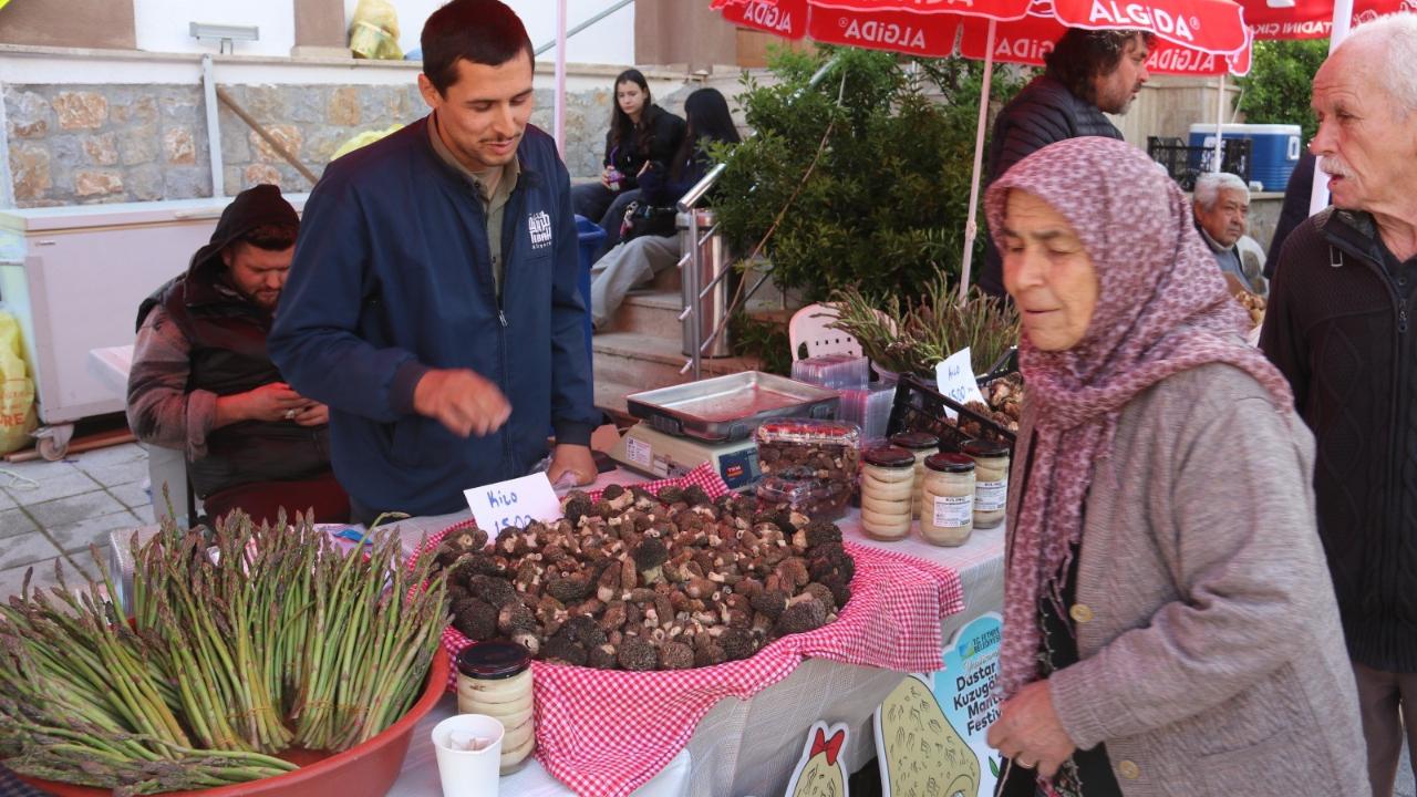 YEŞİLÜZÜMLÜ’DE FESTİVAL COŞKUSU BAŞLADI