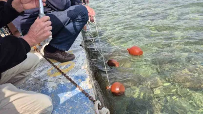 Akdeniz’den Ege’ye Doğa ve Dostluk Yürüyüşü Datça’da başladı
