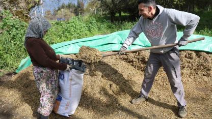 Aydın’da bahar bereketi, yağışlar hayvancılık sektörüne yaradı