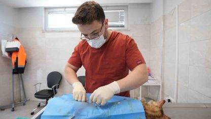Denizli’de sokak hayvanlarını kısırlaştırma ve sahiplendirmede rekor artış