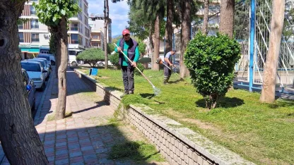 Efeler’de yeşil alanlarda çalışmalar sürüyor