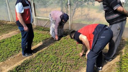 Emet’te seralarda inceleme ve bilgilendirme faaliyetleri