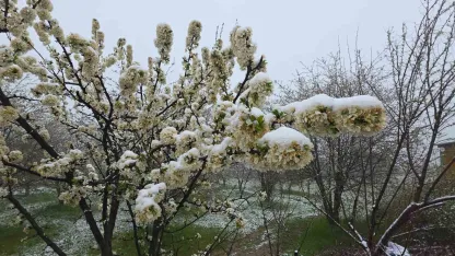 Kütahya’da mayıs karı yağışı hayatı olumsuz etkiledi, üretici endişeli
