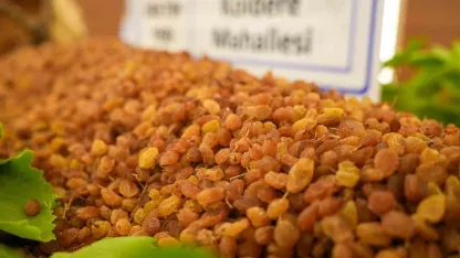 Manisa’dan 321 milyon dolarlık kuru üzüm ihracatı