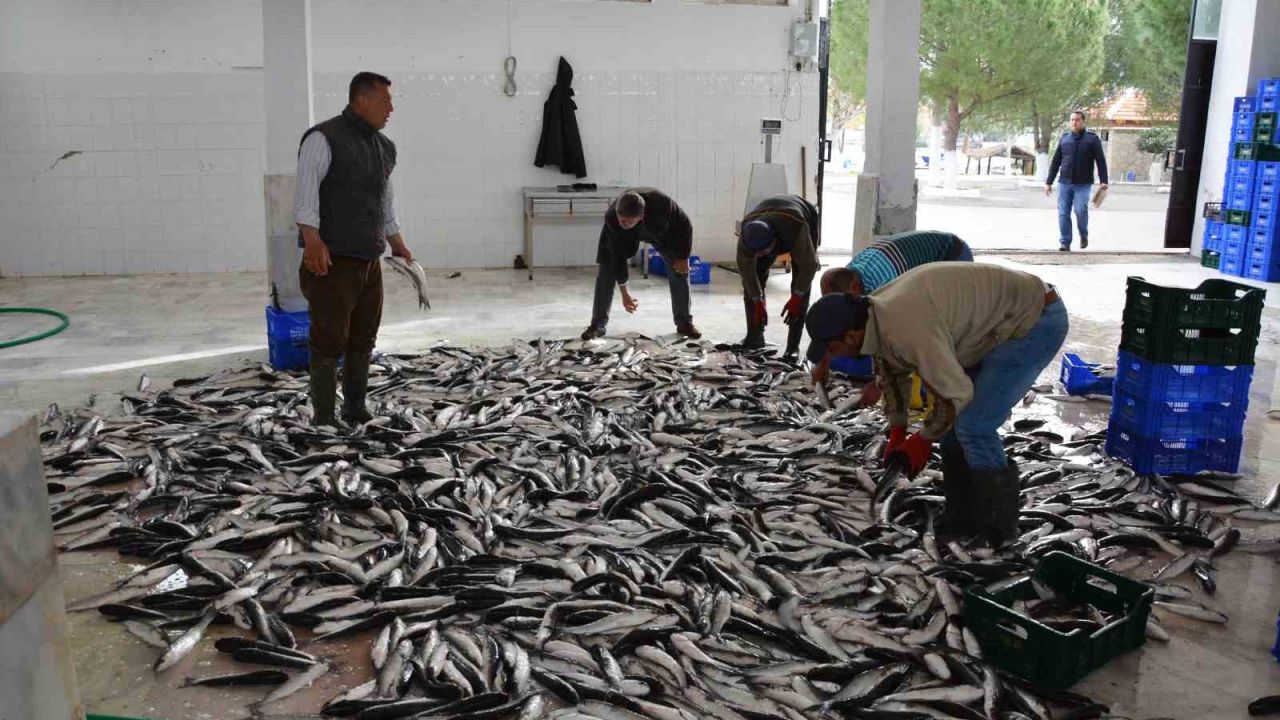 Muğla ihracatta Ege Bölgesi’nde 4’üncü il