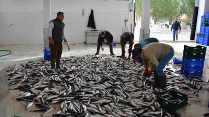 Muğla ihracatta Ege Bölgesi’nde 4’üncü il