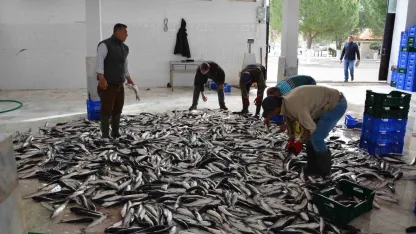 Muğla ihracatta Ege Bölgesi’nde 4’üncü il