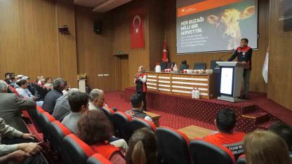 Muğla’da buzağı kayıplarını azaltmaya yönelik eğitimler başladı