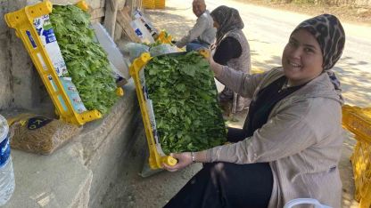 Üzümden önce yaprağı kazandırıyor