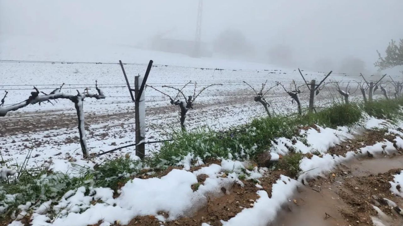Yüksek kesimlerde ani hava değişimi üreticiyi zorladı