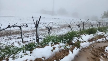 Yüksek kesimlerde ani hava değişimi üreticiyi zorladı