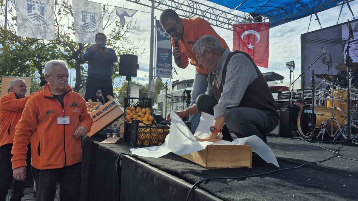 Bodrum, Mandalin Festivali’ne Yoğun İlgi