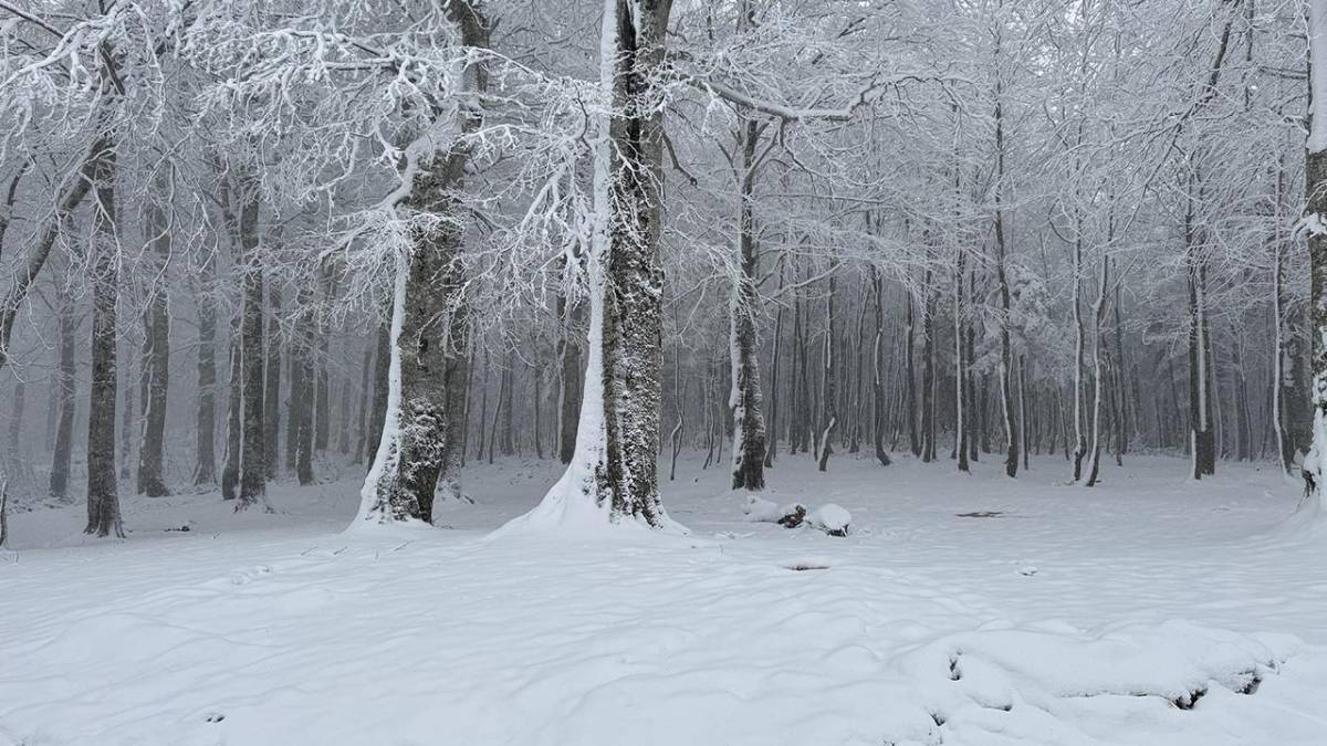 Kritik 48 Saat Uyarısı: 7 İlde Kar 40 Santimi Bulacak