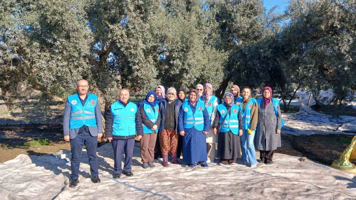 Yatağan’da Zeytin Hasadı İçin Bereket Duası Yapıldı